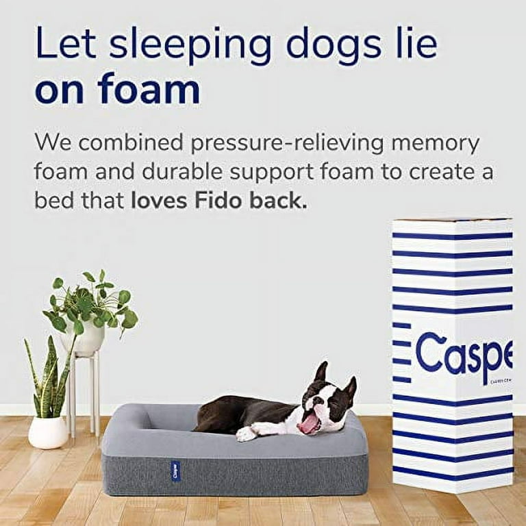 Casper small dog bed cheap