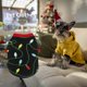 thumbnail image 5 of Ropa de forro polar para perros, chaleco para cachorros, ropa para mascotas (fruta de Navidad S) Likrtyny Para estrenar, 5 of 7