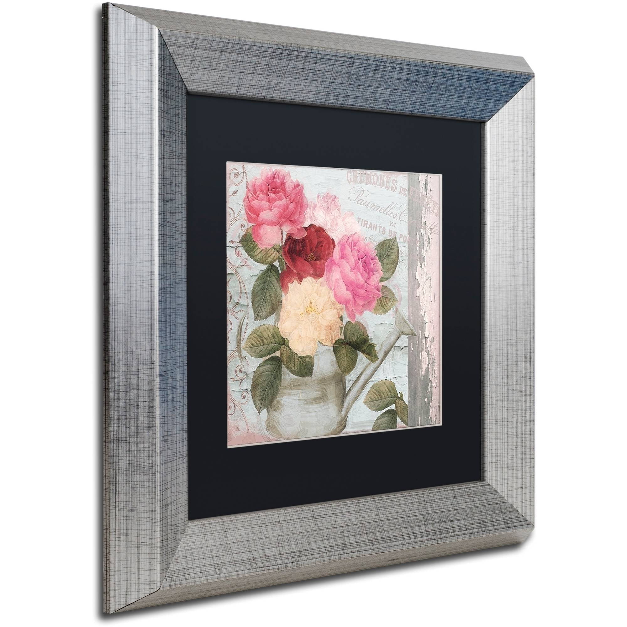 Trademark Fine Art "Chalet d'Ete Roses" Canvas Art by Color Bakery Black Matte, Silver Frame