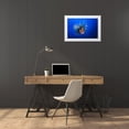 thumbnail image 3 of Gabriel, Barathieu 18x13 White Modern Wood Framed Museum Art Print Titled - Lionfish, 3 of 4