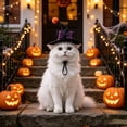 thumbnail image 4 of Witch Cat Dog Halloween Outfit Hat with Bow, Soft Pet Clothes Hats for Cats and Small Dogs, Spandex Form-Fitting Comfort for Parties Parades Photo, 4 of 6
