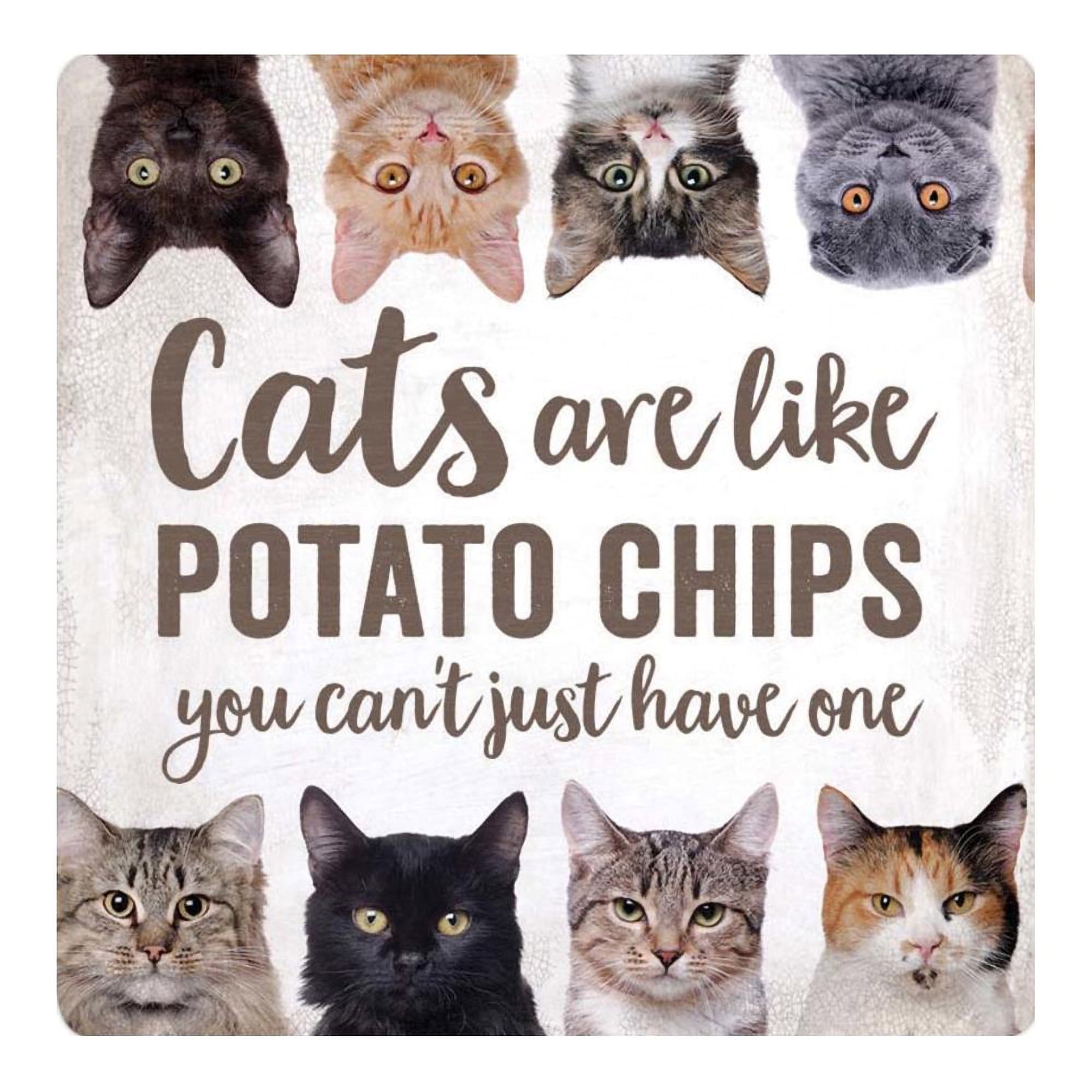 P. Graham Dunn Cats Like Potato Chips Can't Have Just One White 3 x 3