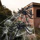 thumbnail image 4 of Araña gigante negra, telaraña triangular de 5 m x 4,8 m, 30 arañas de plástico, telaraña de 40 g para decoraciones de Halloween para interiores y exteriores, 4 of 5