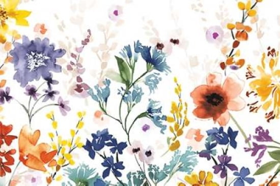 Colors Of The Garde