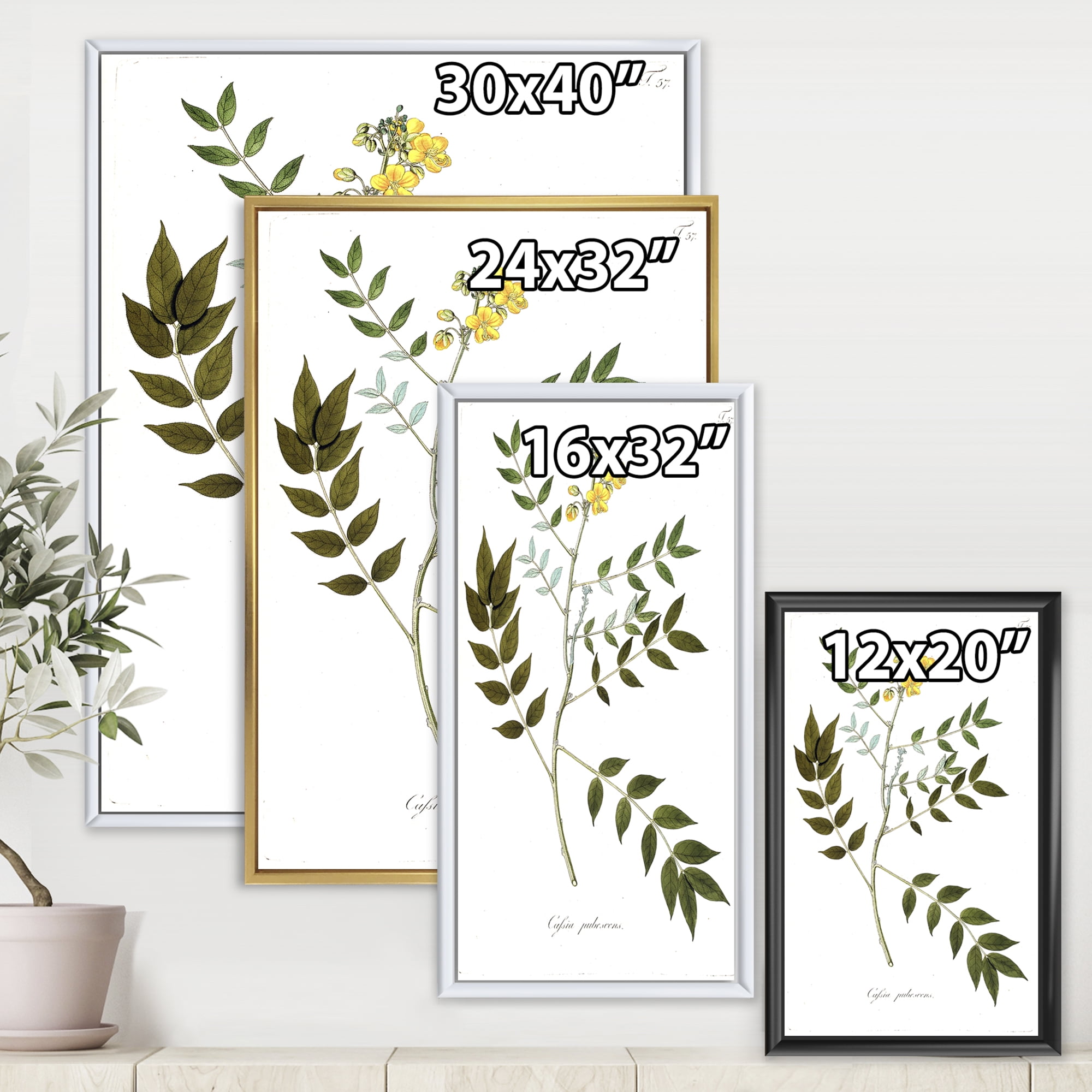 Designart 'Ancient Botanicals XVIII' Traditional Framed Canvas Wall Art Print