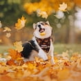thumbnail image 4 of Paquete de 2 pañuelos para perros de otoño, pañuelo reversible de Acción de Gracias, baberos triangulares para perros, accesorios para bufandas, 4 of 5
