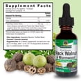 thumbnail image 6 of Nature’s Answer Black Walnut & Wormwood 2,000 mg, Alcohol-Free Herbal Supplement, 1 fl oz, 6 of 6