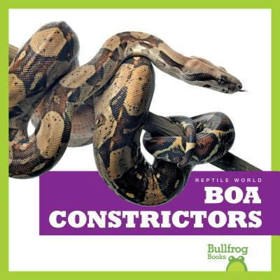 Pre-Owned Reptile World: Boa Constrictors (Hardcover)