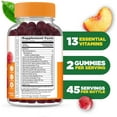 thumbnail image 3 of Lifeable Prenatal Multivitamin with Iron and Choline | Great Tasting prenatal Vitamins for Women | Vegetarian Non-GMO prenatal Gummies | 90 Gummies, 3 of 7
