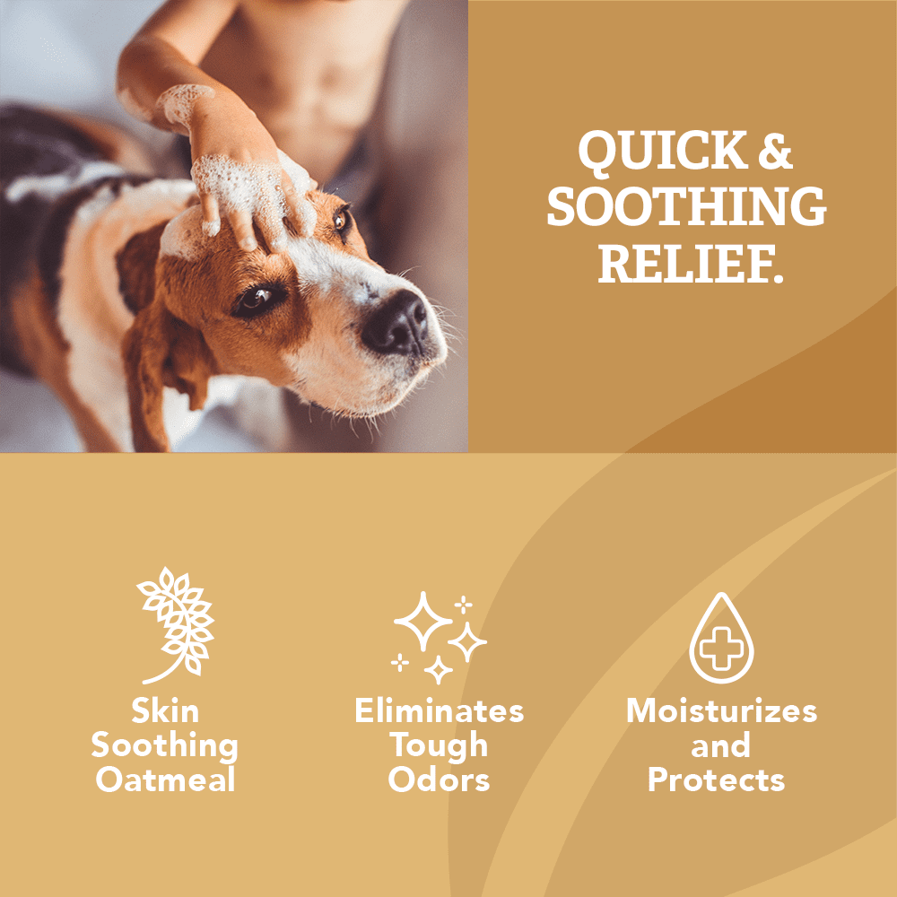 Natural Care Baking Soda and Oatmeal Shampoo for Dogs – 20oz.