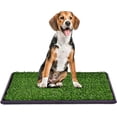 thumbnail image 1 of Pasto entrenador para perro ProudCo incluye pasto sintético Esponja Ultra absorbente charola 40 x 40 cms, 1 of 3