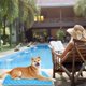 thumbnail image 4 of Dog Cooling Mat - Extra Large Thicken Self Cooling Mat for Small Medium Large Dogs,Easy Washable,Water Absorption Top,Materials Safe, (27 X 20 in), 4 of 4
