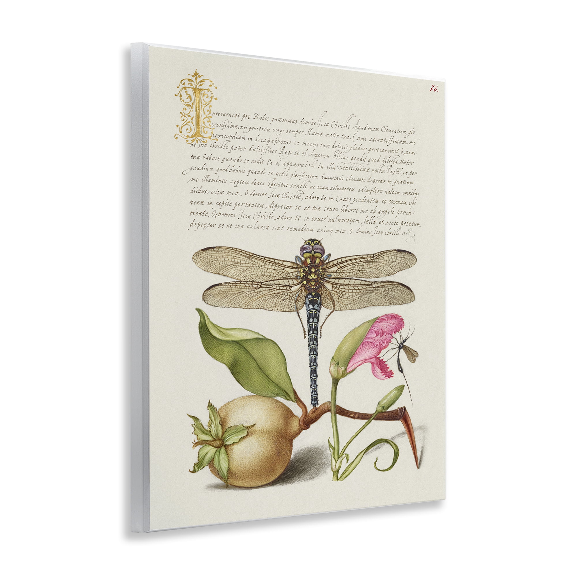 Stupell Industries Vintage Dragonfly & Plants Text & Numbers Painting Unframed Art Print Wall Art, 11 x 14