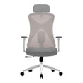 thumbnail image 1 of Silla Ejecutiva Acteck Floe Pro EC737 Ergonomica con Reposabrazos Blanco AC-937245, 1 of 7