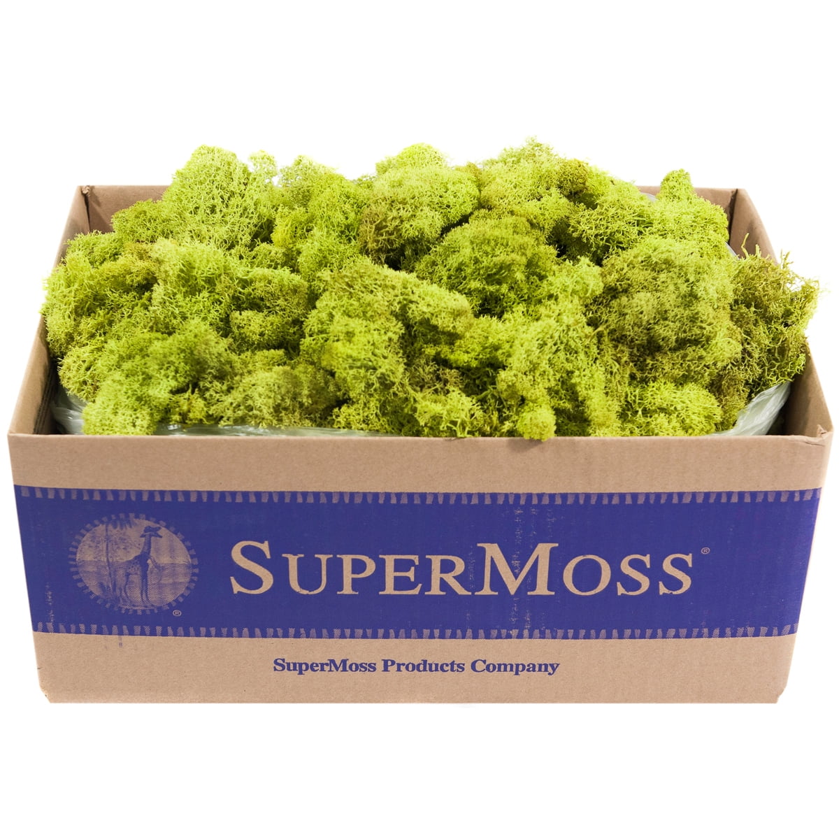 Preserved Reindeer Moss 3lb - Chartreuse - Walmart.com - Walmart.com