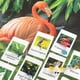 thumbnail image 3 of Montessori Animal Matching Card Cognitive Kids Educational Toy Animal Insect Farm Zoo Preschool Toddler Language Learning Card, 3 of 4