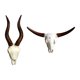 thumbnail image 4 of Escultura de pared de cabeza de animal, escultura de pared de animal falso, arte colgante, cabeza de animal toro y oveja, 4 of 9