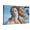 Canvas, variant on Art.com The Birth of Venus (Detail), C1485 Giclee Print by Sandro Botticelli, 18" x 12"