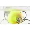 thumbnail image 3 of Storm Hot 'N Tot 2" Fishing Lure, Solid Chartreuse, Size 6, 3/16 Oz., H36, 3 of 3