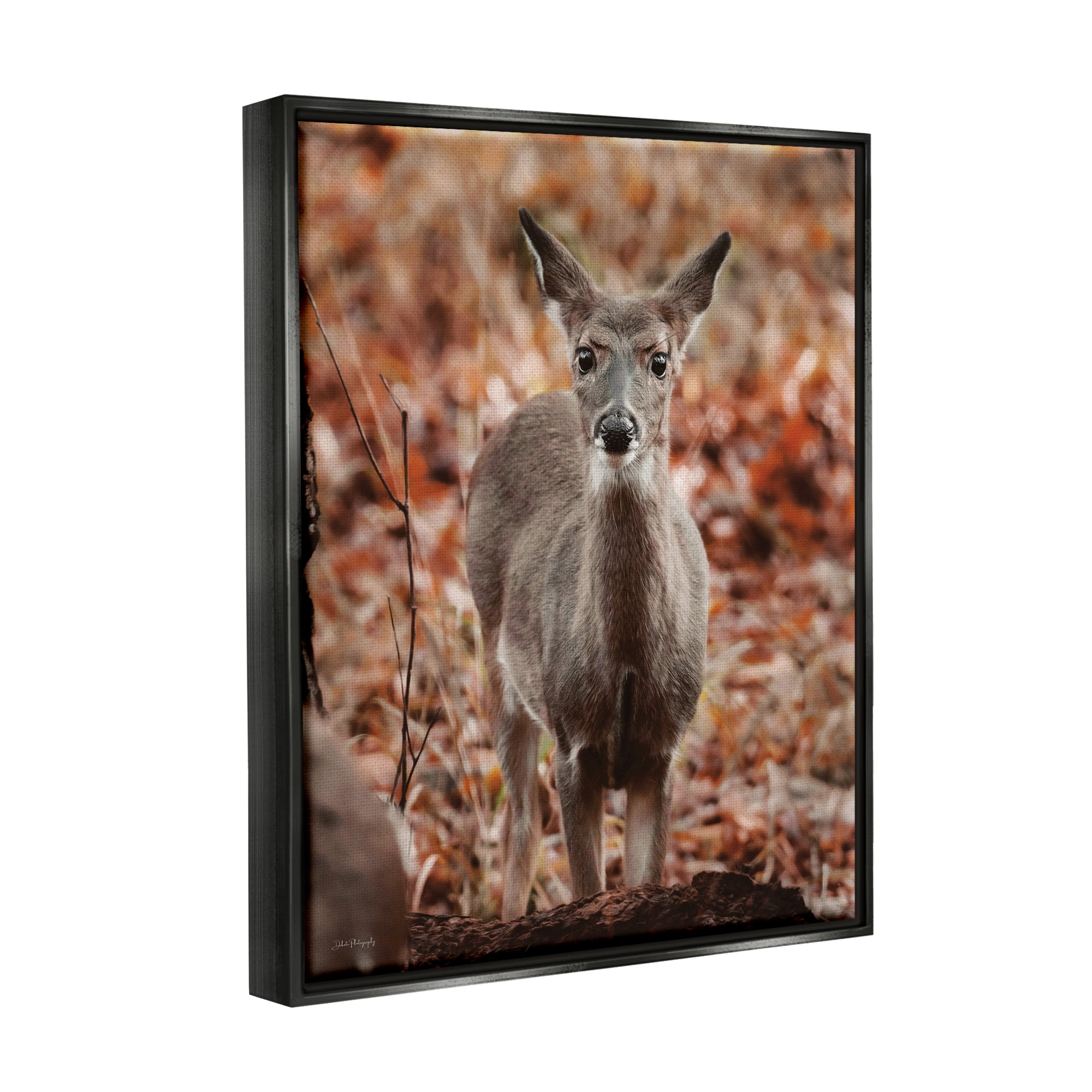 Stupell Industries Fawn in Autumn Nature Animals & Insects Photography Black Floater Framed Art Print Wall Art, 17 x 21