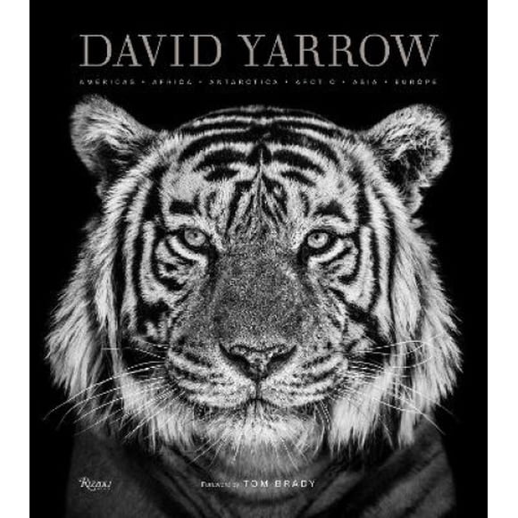 David Yarrow Photographie: Amérique Afrique Antarctique Arctique Asie Europe