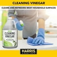 Harris Gallon Strength Eucalyptus Scent Concentrated Cleaning Vinegar