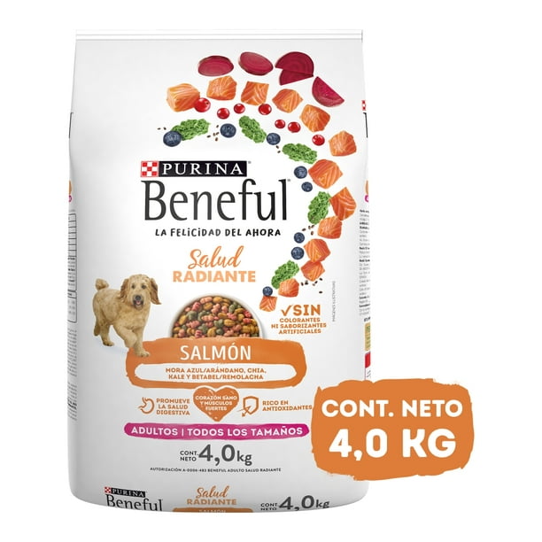 Alimento para Perro Beneful Adulto Salud Radiante Todos los Tamaños Sabor Salmón 4.0 kg