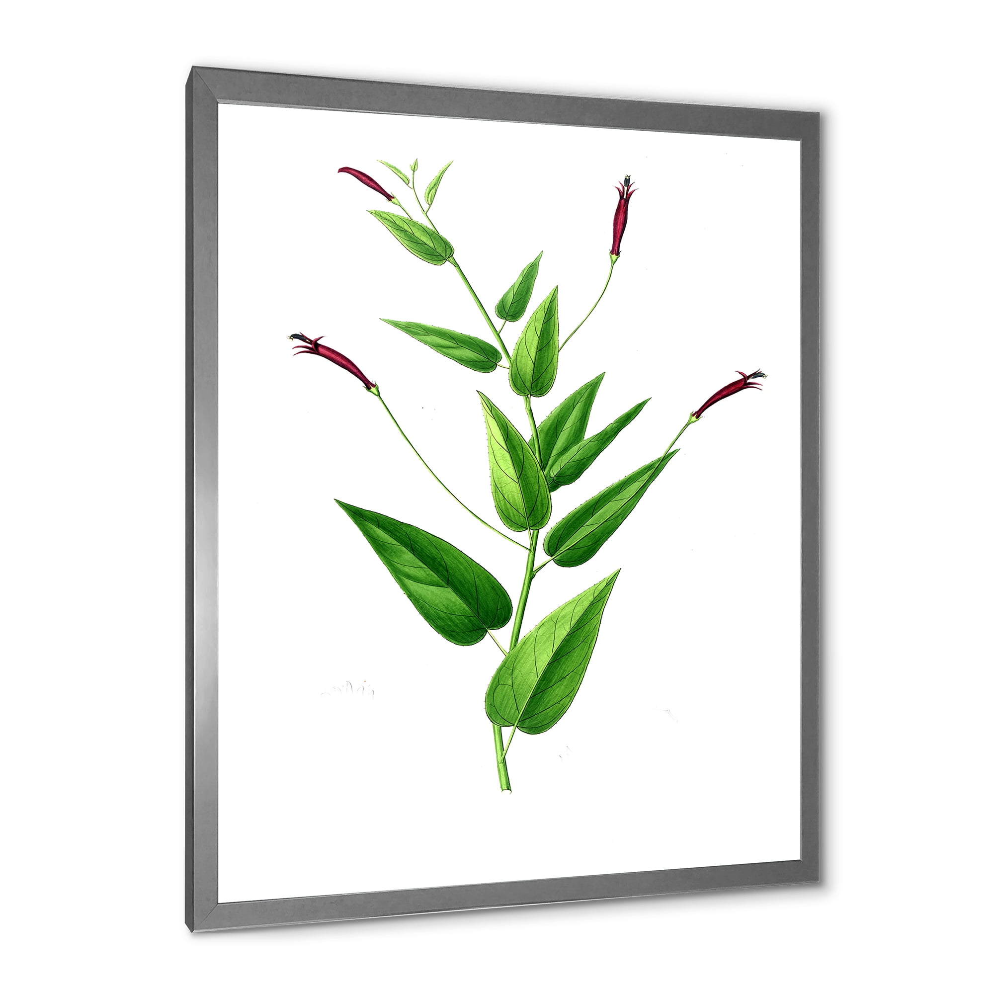 Designart 'Ancient London Plants VII' Traditional Framed Art Print
