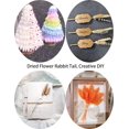 thumbnail image 5 of 120pcs Dried Bunny Tail, Pink Bunny Tail, Natural Bulk Dried Flowers for Diy Bohemian Wedding Rustic Party Decoration, Home Decoration, Vase Decoration, Wreaths, Cake Decoration. (Pink), 5 of 6