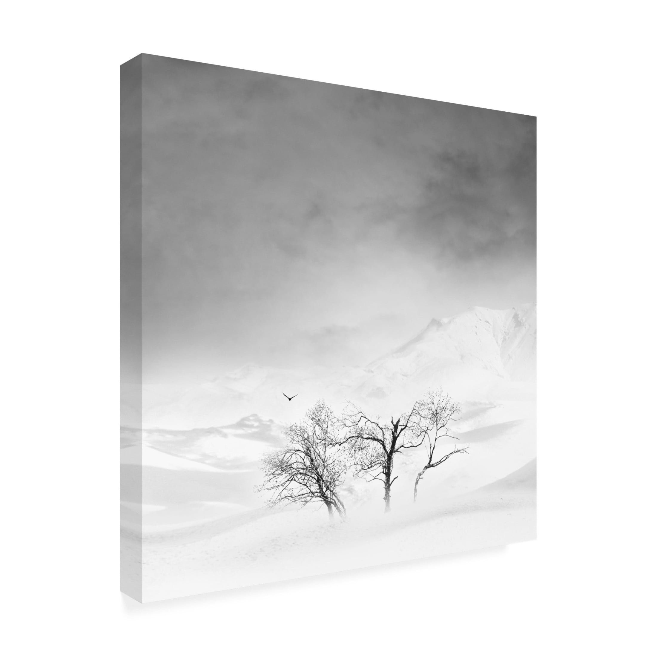 Trademark Fine Art MOSTAFA NODEH Gilan Canvas Wall Art
