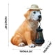 thumbnail image 3 of Labrador Solar Light - Estatua de perro de resina de 20" con sombrero y linterna LED para decorar jardín, jardín o patio, 3 of 6