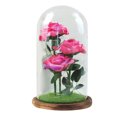 thumbnail image 2 of Rose Gifts for Women, Birthday Gifts for Mom and Grandma, Rose in Glass Dome on Mothers Day, Xmas, Valentine Day, Rose Artificial Flowers Decor with LED Strip, 2 of 2