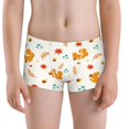 thumbnail image 5 of Yiaed Squirrel Maple Leaves And Nuts Print Boys' Boxer Briefs Cotton Casual Stretch Comfort Boys Boxers - Kids Boxer Briefs Underwear for Boys (6-18)-Large, 5 of 5