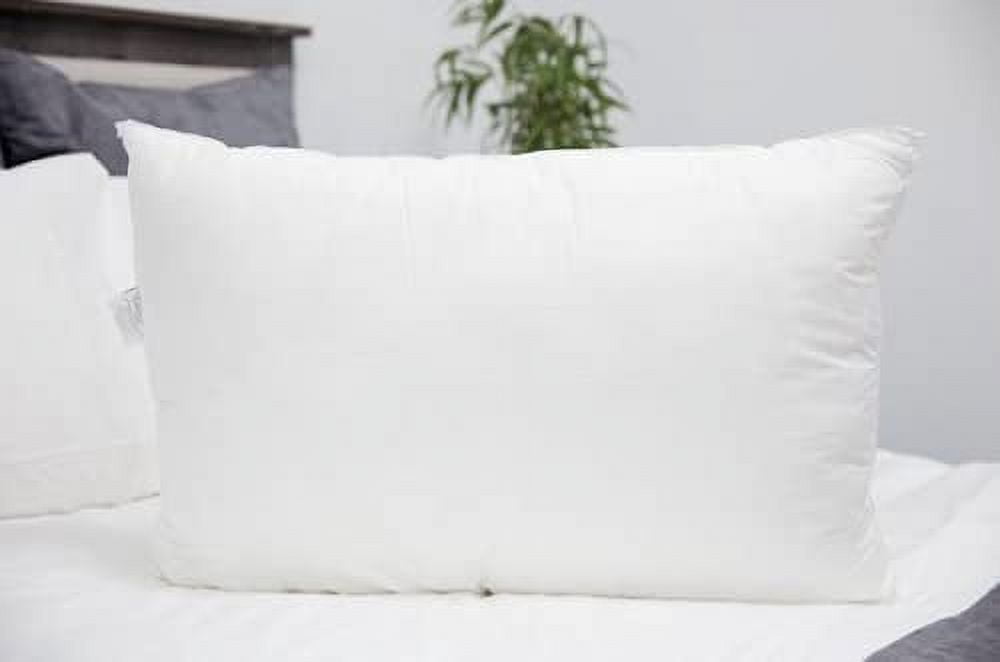 Beyond down pillows by carpenter online