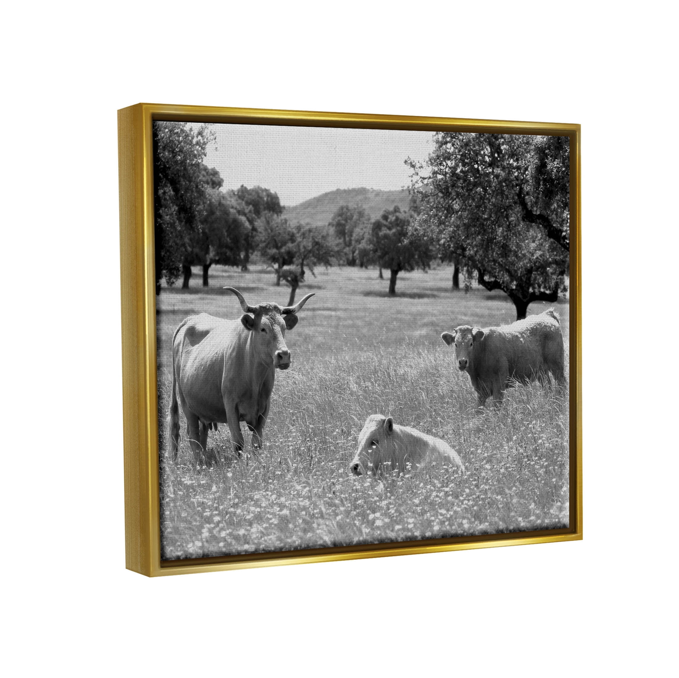 Stupell Industries Countryside Meadow Cattle Photograph Metallic Gold Floating Framed Canvas Print Wall Art, Design by Daphne Polselli