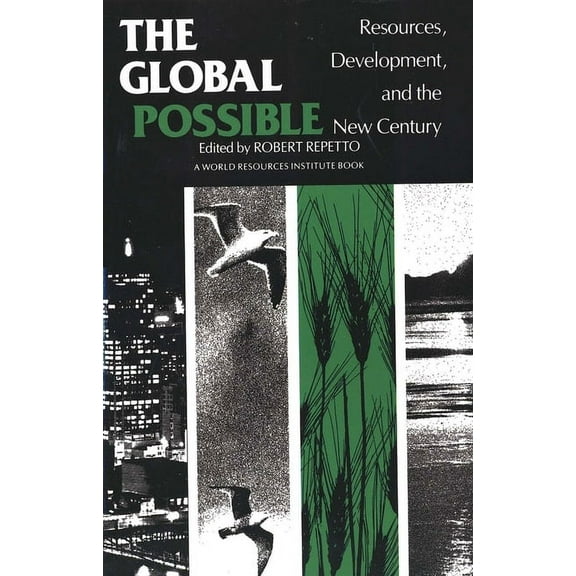 The Global Possible : Resources, Development, and the New Century (Paperback)