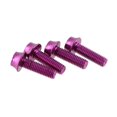 thumbnail image 1 of Wolf Tooth Precision Anodized Water Bottle Cage Bolts - 4 Pcs. Purple, 1 of 11