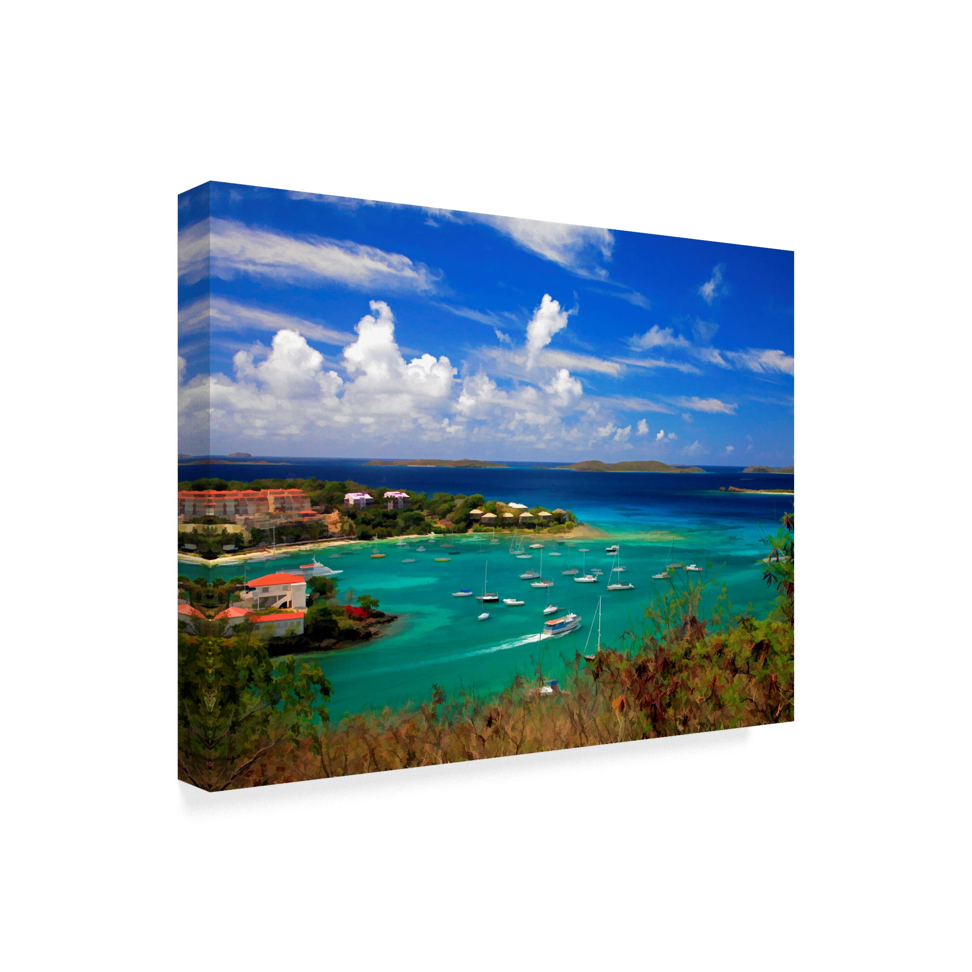 Trademark Fine Art 'St. Johns' Canvas Art by J.D. McFarlan