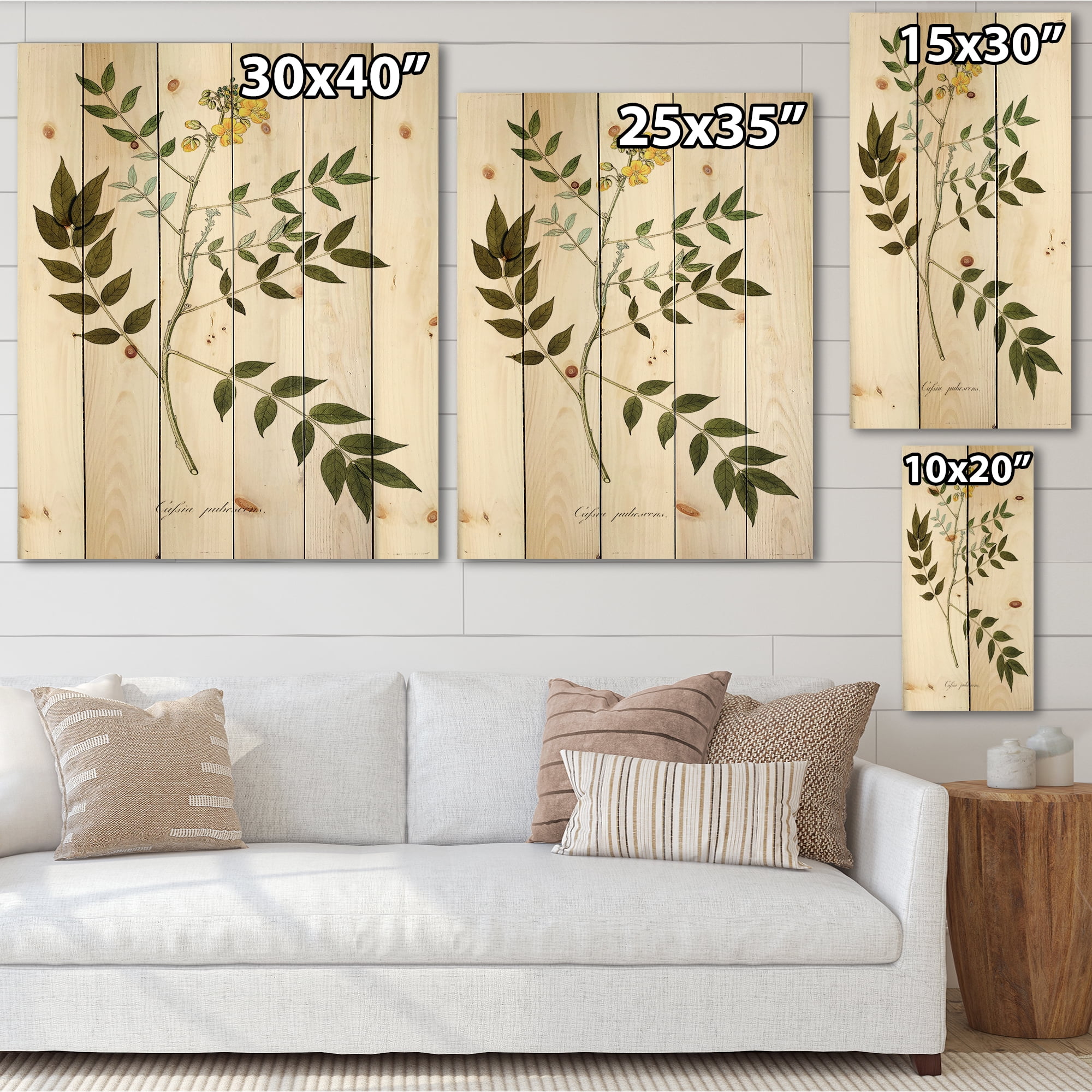 Designart 'Ancient Botanicals XVIII' Traditional Print on Natural Pine Wood