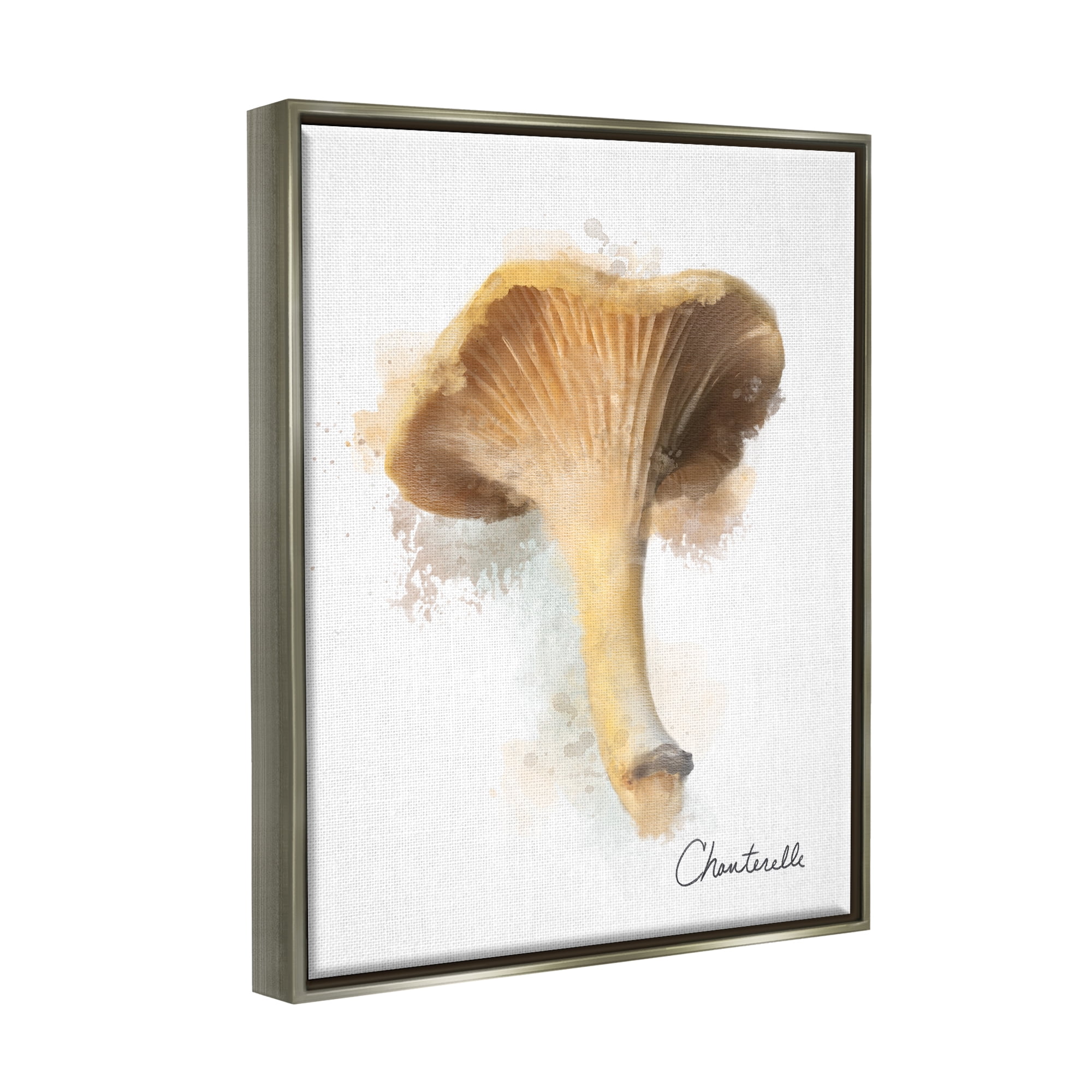 Stupell Industries Abstract Chanterelle Mushroom Botanical & Floral Painting Gray Floater Framed Canvas Art Print Wall Art, 25 x 31