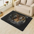 thumbnail image 2 of Tiger Rug & Home Decor - Wild Animal Rugs for Entryway, Front Door Mat Indoor Entrance, Washable Rugs, 3x5 Rug, Non Slip Soft Low Pile Small Area Rug, Wildlife Carpet & Room Decorations X-&236, 2 of 7