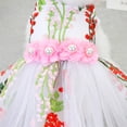 thumbnail image 4 of Visland Dog Dress Sweet Style Adorable Lace Pet Skirt Wedding Dress for Pomeranian, 4 of 8