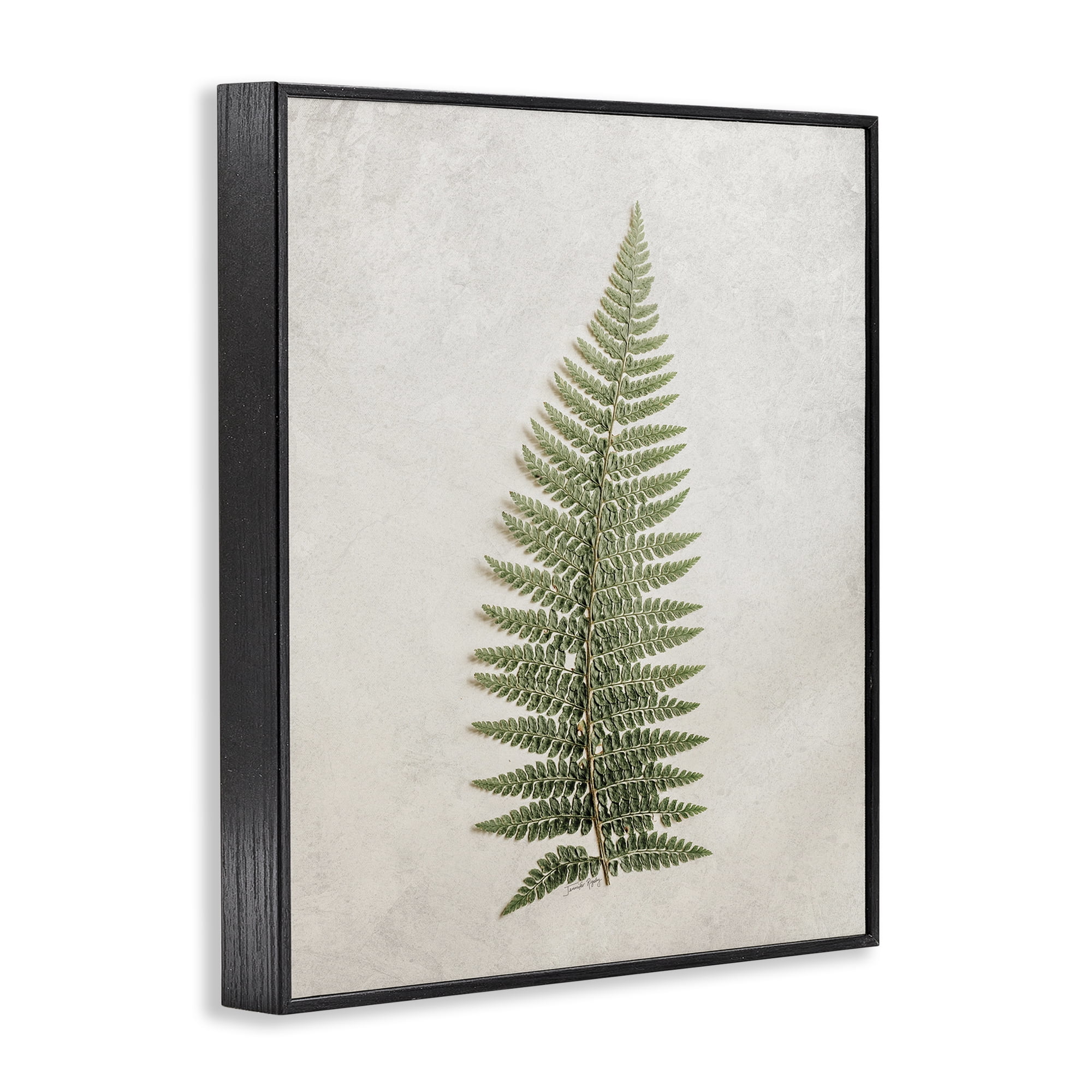 Stupell Industries Detailed Fern Frond Botanical & Floral Painting Black Framed Art Print Wall Art, 11 x 14