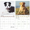thumbnail image 4 of Trends International 2024 Puppies Wall Calendar, 4 of 7