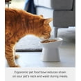 thumbnail image 2 of Yamazaki Home Tilted Pet Food Bowl, White, Ceramic, 6.7oz, Dishwasher Safe, 2 of 7