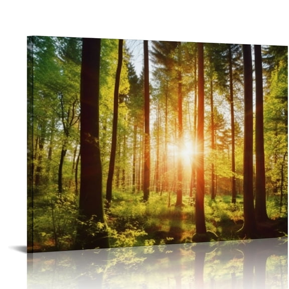Nawypu  Canvas Print Wall Art Sunrise Over The Green Forest Nature Wilderness Photography Modern Art Rustic Scenic Colorful Multicolor for Living Room, Bedroom, Office