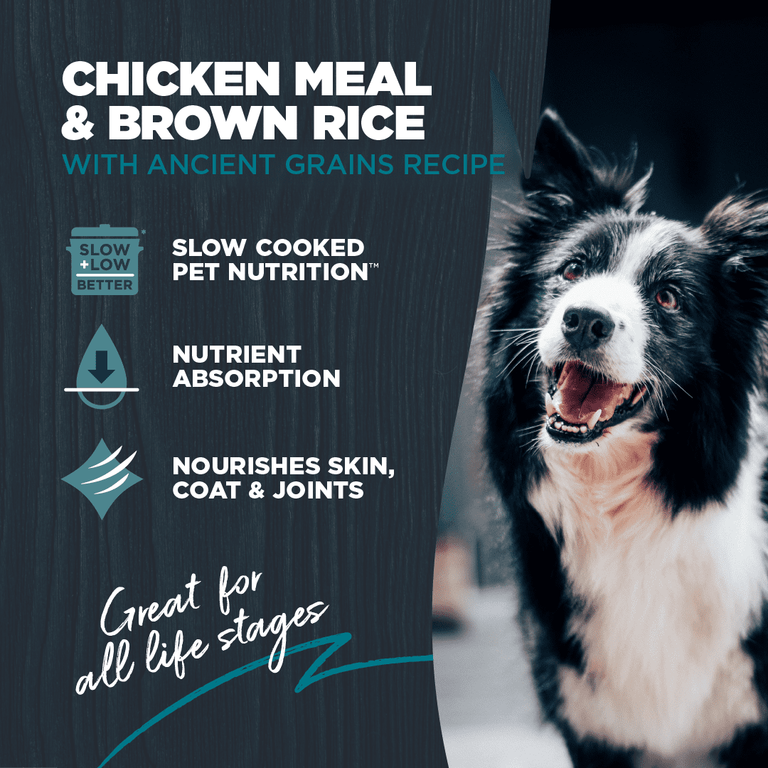 Blackwood Dry Dog Food Chicken Meal & Brown Rice with Ancient Grains 10 lb.