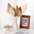 thumbnail image 5 of Uxcell 6-Park Dried Palm Leaves 13.7x3.9 Natural Dried Real Palm Fans for Boho Wedding Home Bouquets [Blue], 5 of 7