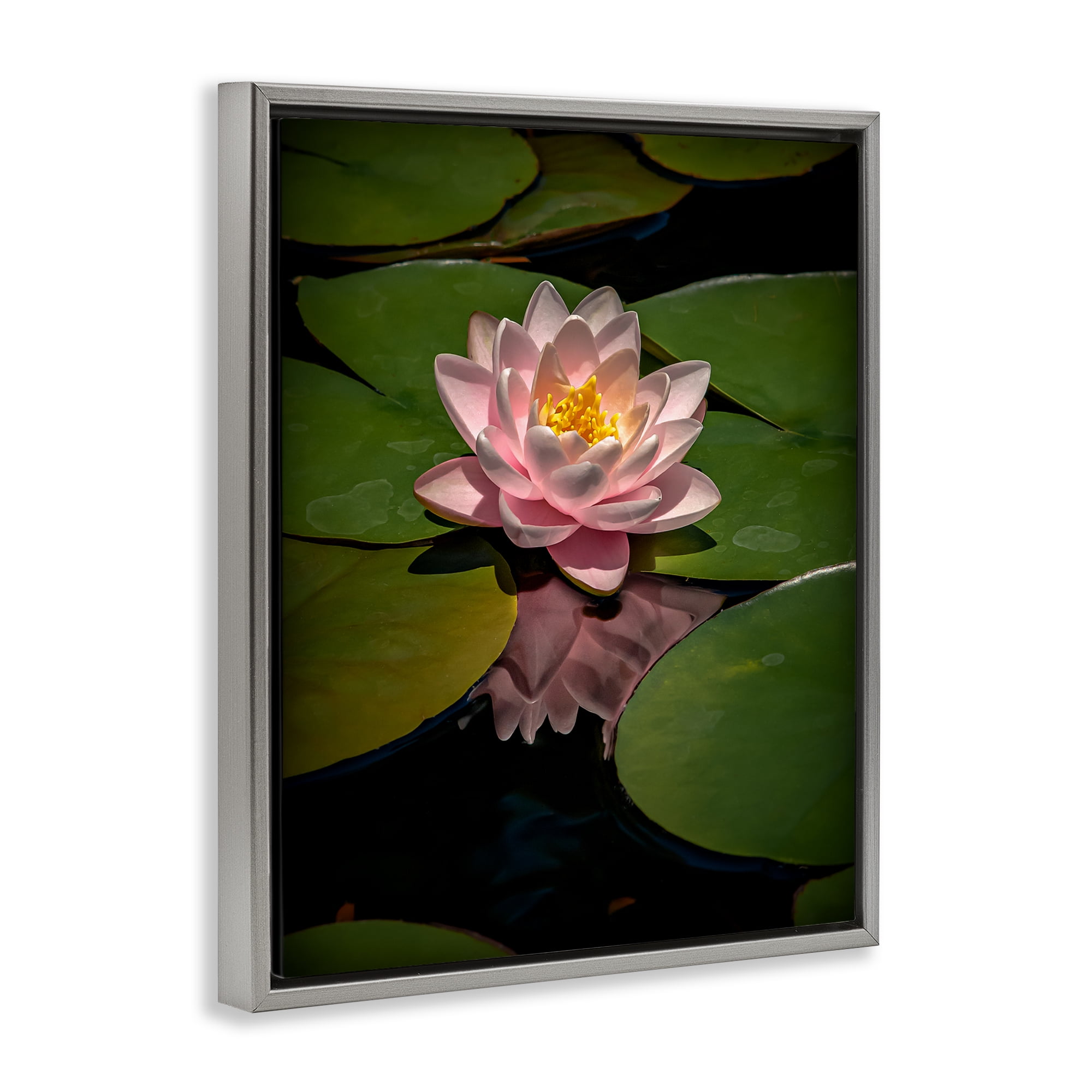 Pink Lotus Among Lily Pads Gray Framed Floater Canvas Wall Art, design by Phillip Flowers