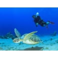 thumbnail image 4 of Equipo de Snorkel DiVLMT para Adultos con Aletas y Máscara de Buceo, 4 of 8